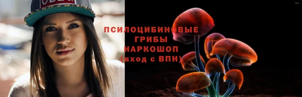 spice Алзамай