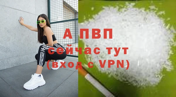 твердый Алексеевка